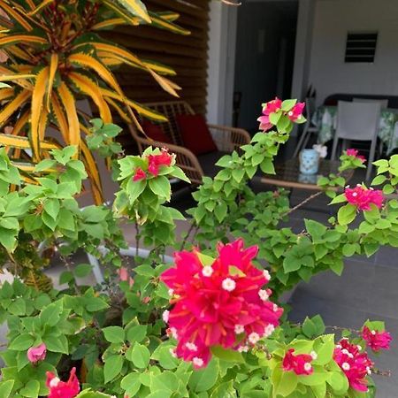 Le Tropical Appartement 1 Ou 2 Chambres Les Anses-d'Arlets Exterior photo